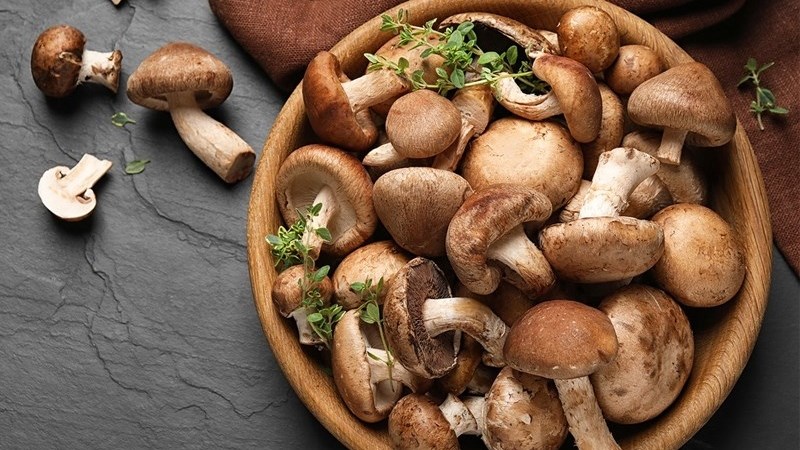 Nnóng hương tốt mang đến thận