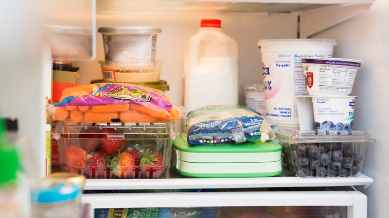 sắp xếp thực phẩm những kệ dưới tủ lạnh