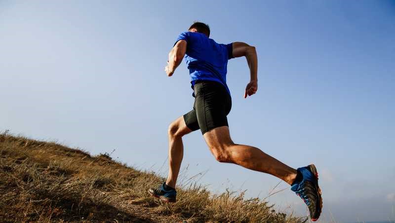 uống lá vối phối hợp bè cánh dục
