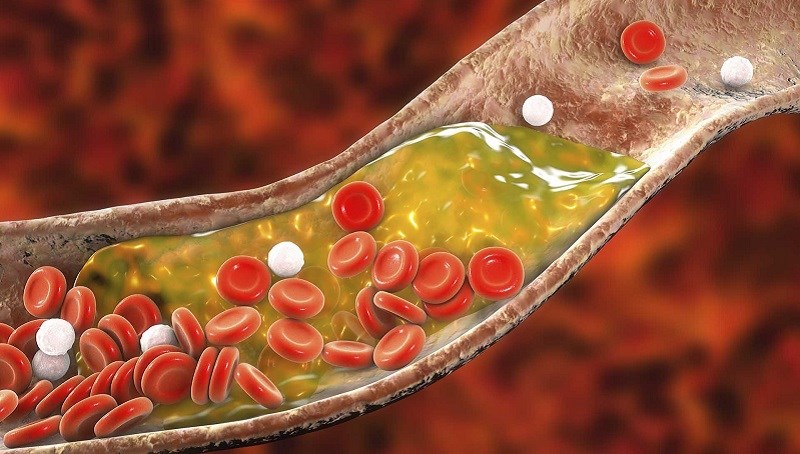 Hạt hướng dương tăng cường nồng độ cholesterol khỏe mạnh