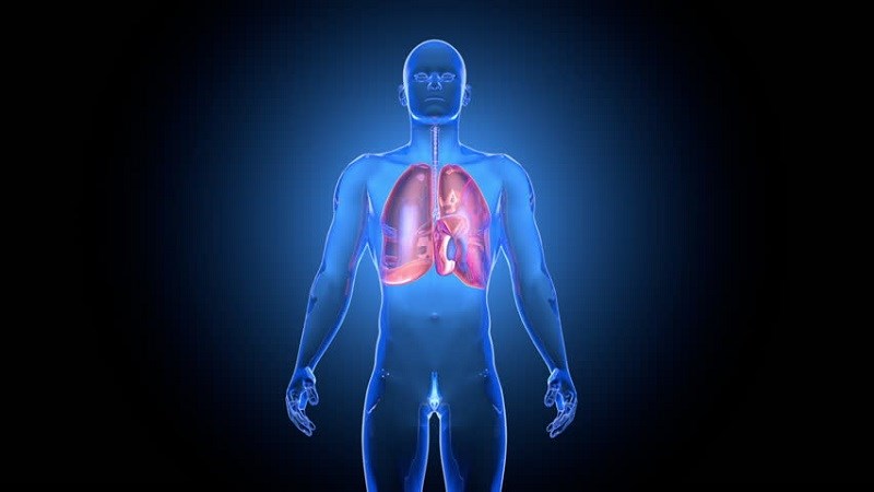 Thảo trái nâng cấp hệ hô hấp