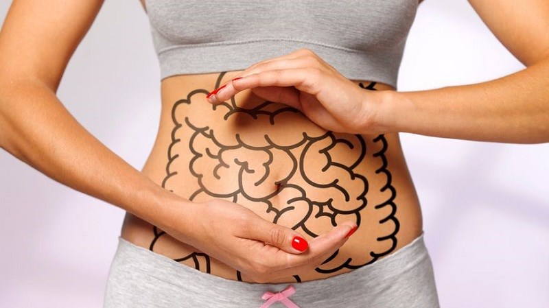 Thảo trái cung ứng hệ tiêu hoá