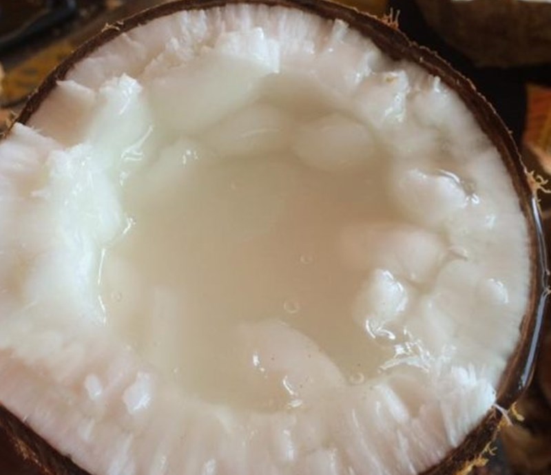 Tại sao dừa sáp chỉ trồng được ở Trà Vinh