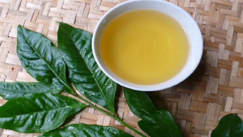 Hạn chế dùng lá vối Khi đói