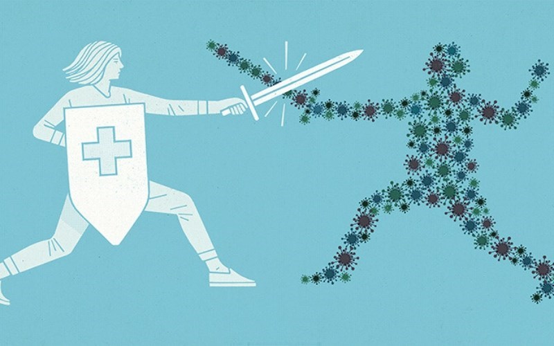 Nấm linh chi thúc đẩy hệ miễn dịch