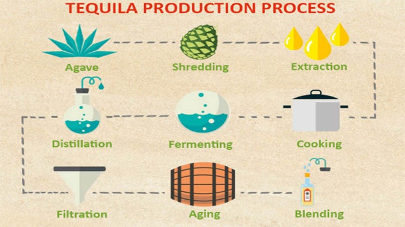 Quá trình ủ rượu Tequila
