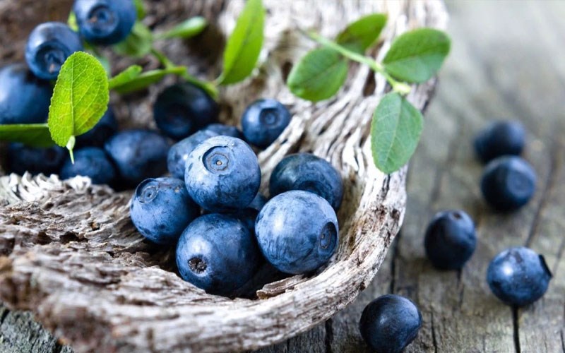 Chọn mua tr&aacute;i m&ugrave;a khi chọn mua tr&aacute;i c&acirc;y