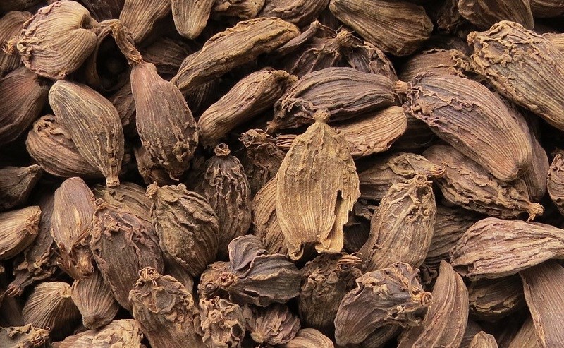 đặc điểm thảo quả