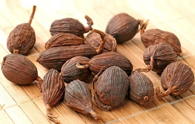 Thảo trái sử dụng vào ẩm thực