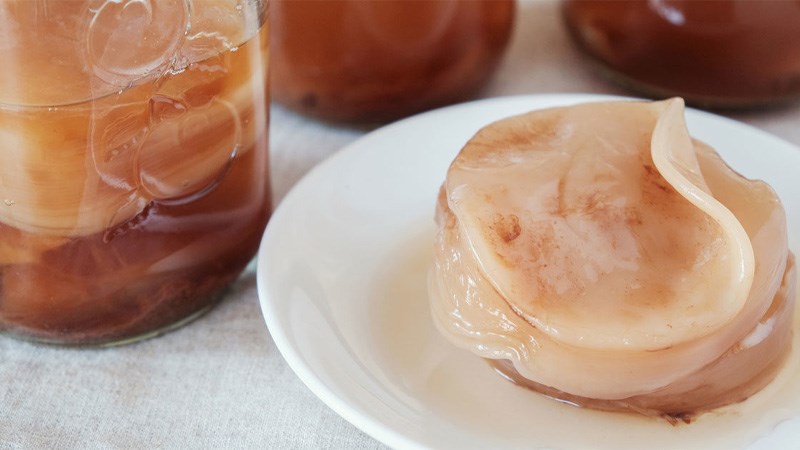 Kombucha tốt cho dạ dày
