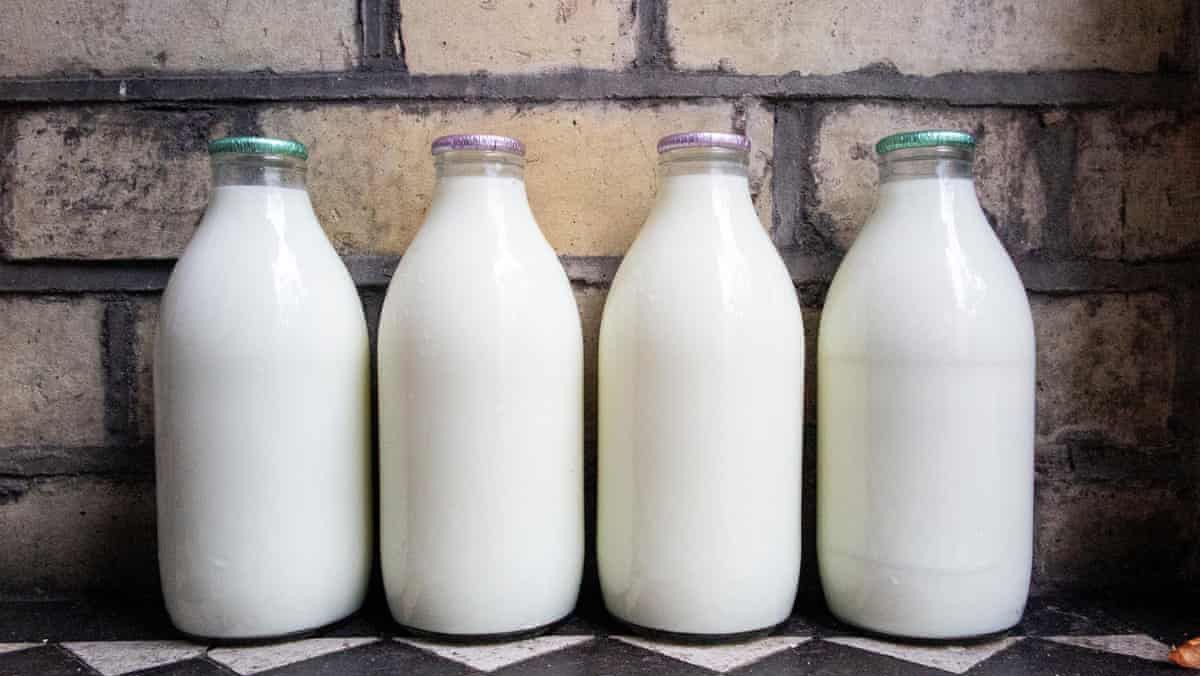 Sữa tách béo là gì? Dinh dưỡng và phân loại sữa tách béo trên thị trường