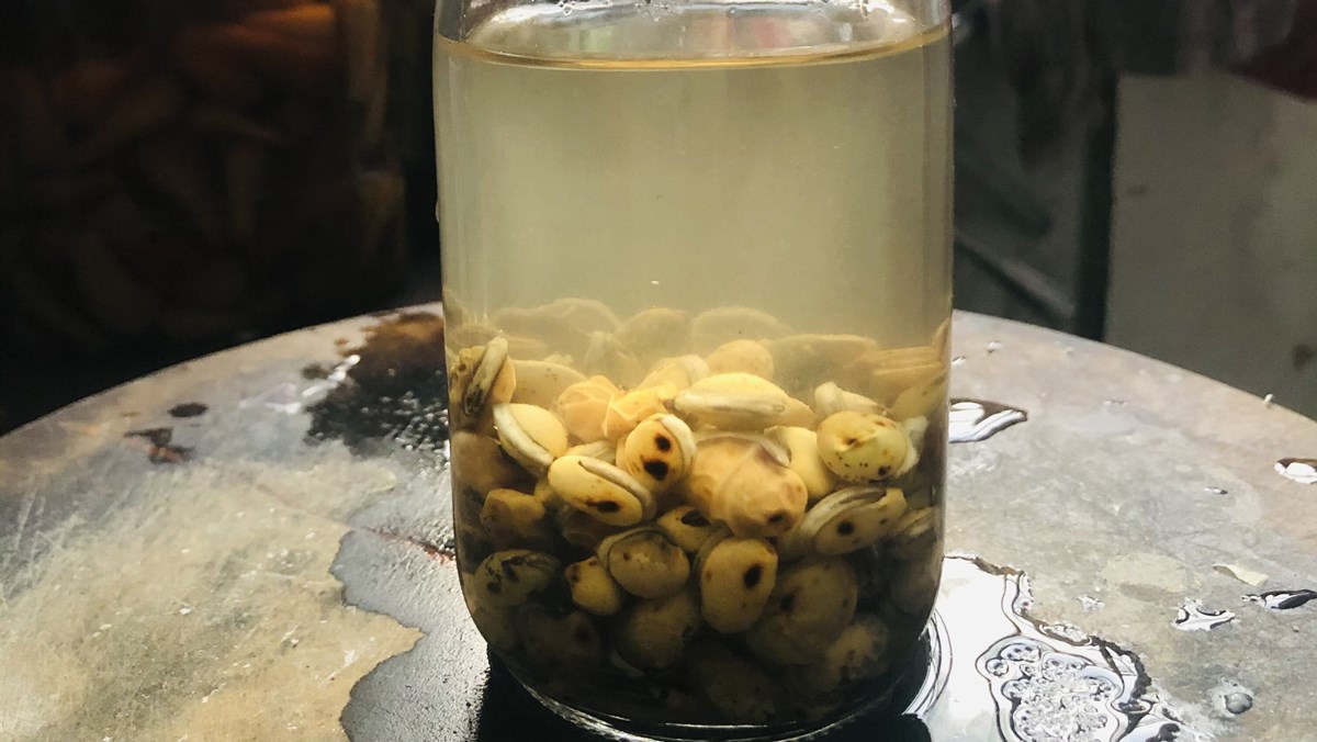 Nước đậu ván rang