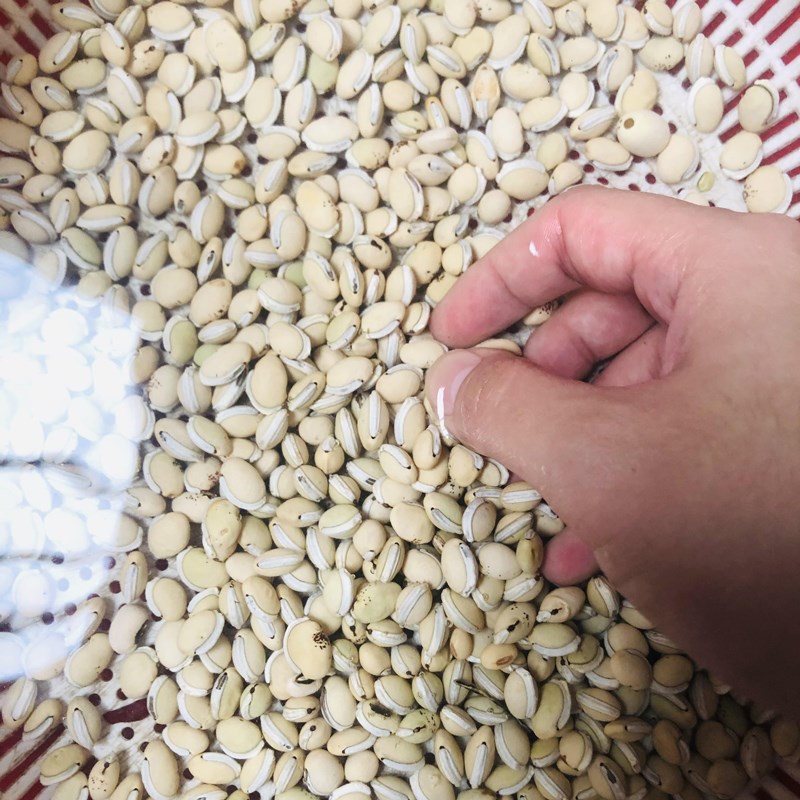 Bước 1 Sơ chế đậu ván Nước đậu ván rang