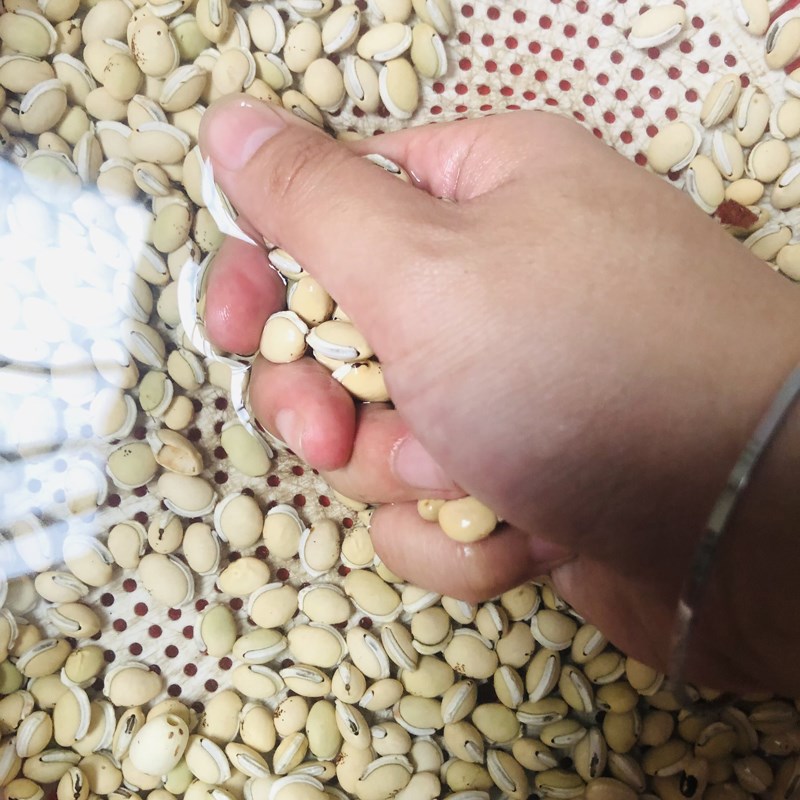 Bước 1 Sơ chế đậu ván Nước đậu ván rang