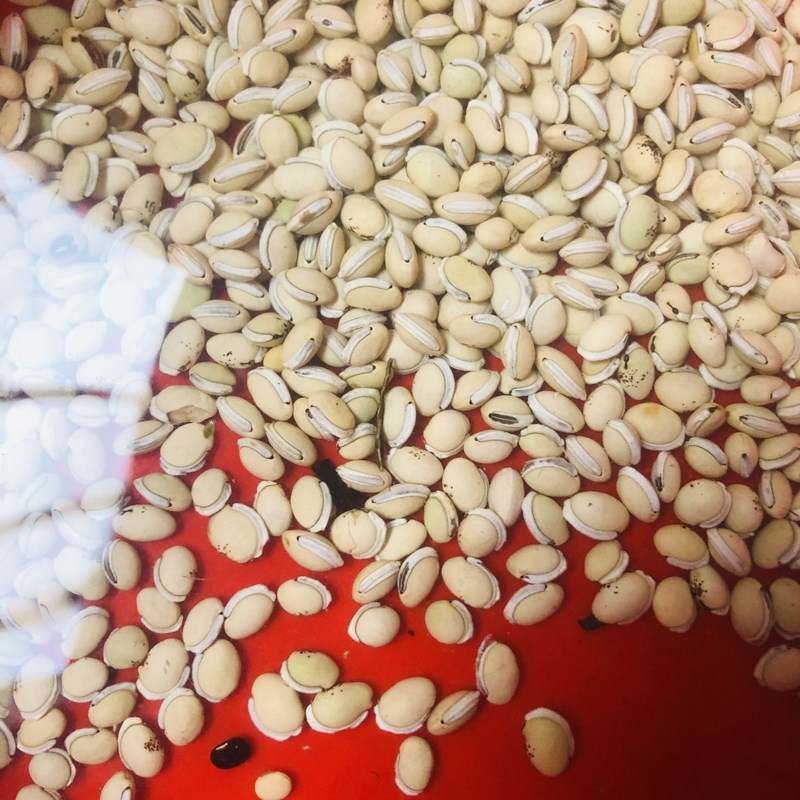 Bước 1 Sơ chế đậu ván Nước đậu ván rang