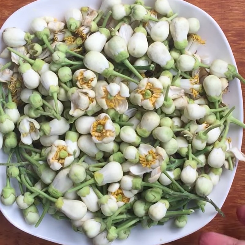 Bước 1 Sơ chế hoa bưởi Tinh dầu hoa bưởi