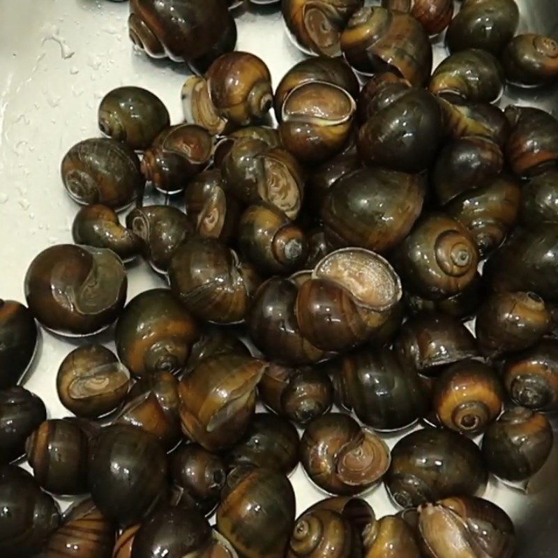 Bước 1 Sơ chế ốc Ốc lác xào sa tế