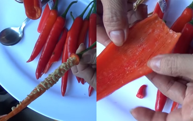 Thu về l&otilde;i ớt d&ugrave;ng l&agrave;m nhụy hoa 