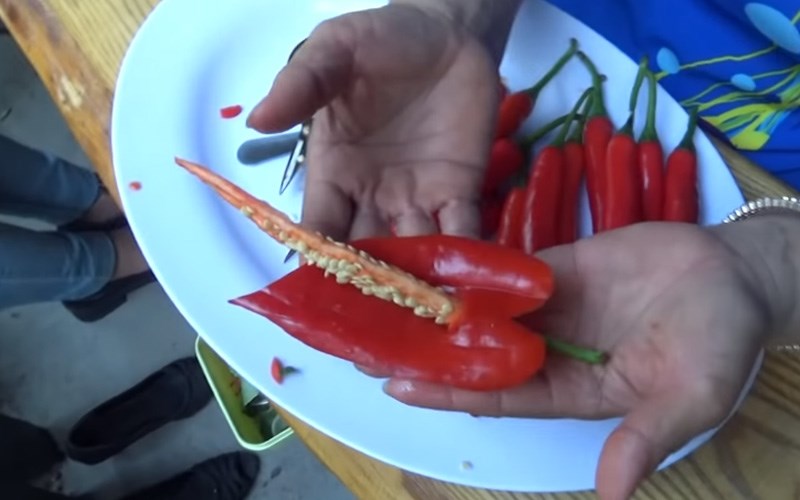 B&ocirc;ng hoa hồng m&ocirc;n với m&agrave;u sắc đỏ tươi đẹp mắt 