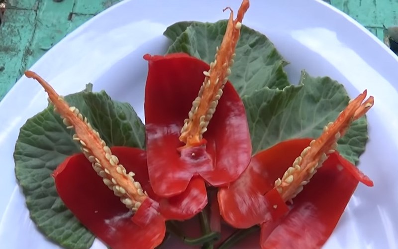Tỉa hoa hồng m&ocirc;n từ ớt 