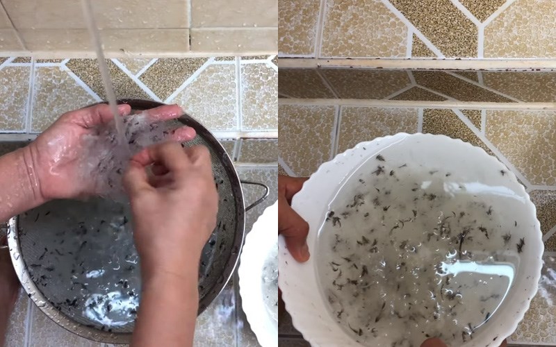 Rửa yến cho trôi bớt phần lông to và một phần chất bẩn 