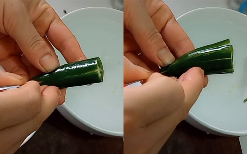 D&ugrave;ng dao tỉa c&aacute;nh hoa đồng tiền 