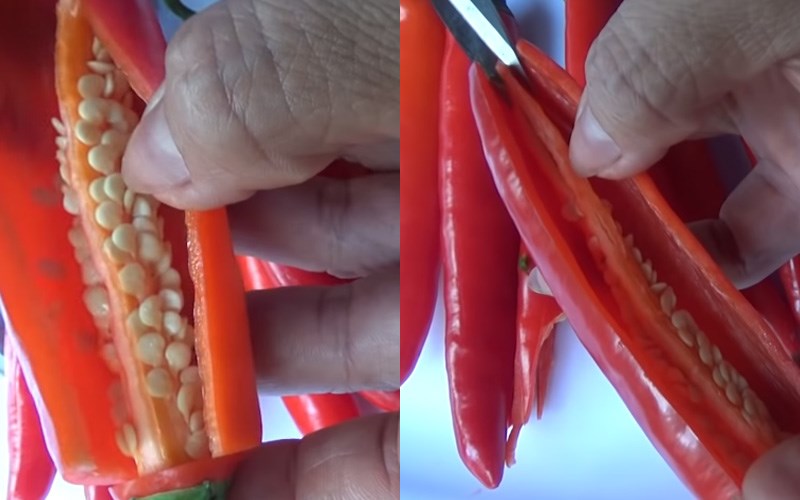 D&ugrave;ng k&eacute;o loại bỏ phần l&otilde;i ớt 