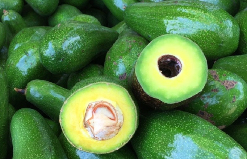 Đặc điểm của bơ năm lóng