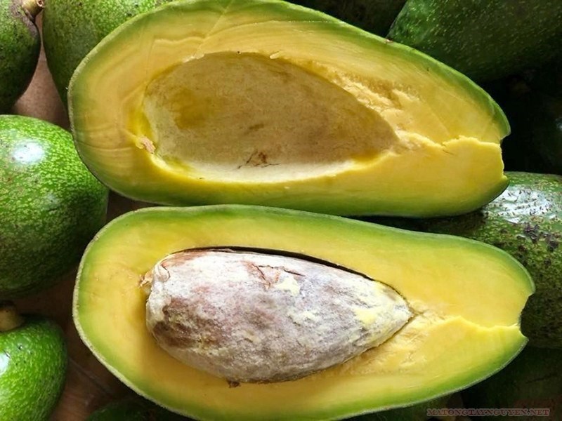 Cách bảo quản bơ năm lóng