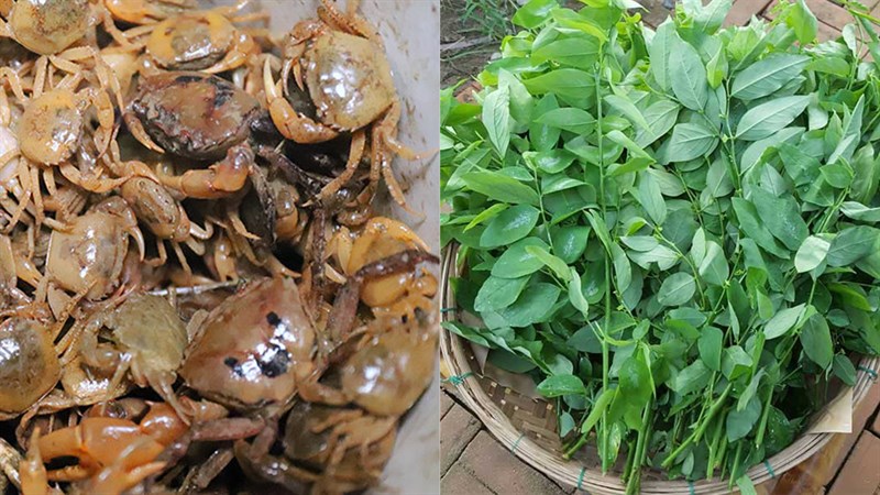 Nguyên vật liệu món ăn uống canh cua rau ngót