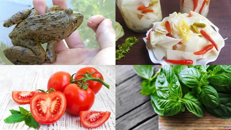 nguyên liệu làm canh măng chua nấu ếch