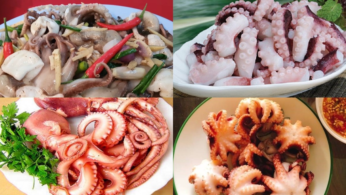 Các món làm từ bạch tuộc đều chứa các chất dinh dưỡng tốt cho cơ thể