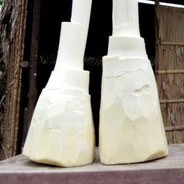 Củ Hủ Dừa (Cổ Hũ Dừa) Là Gì, Bao Nhiêu 1Kg? Cách Bảo Quản Củ Hủ Dừa