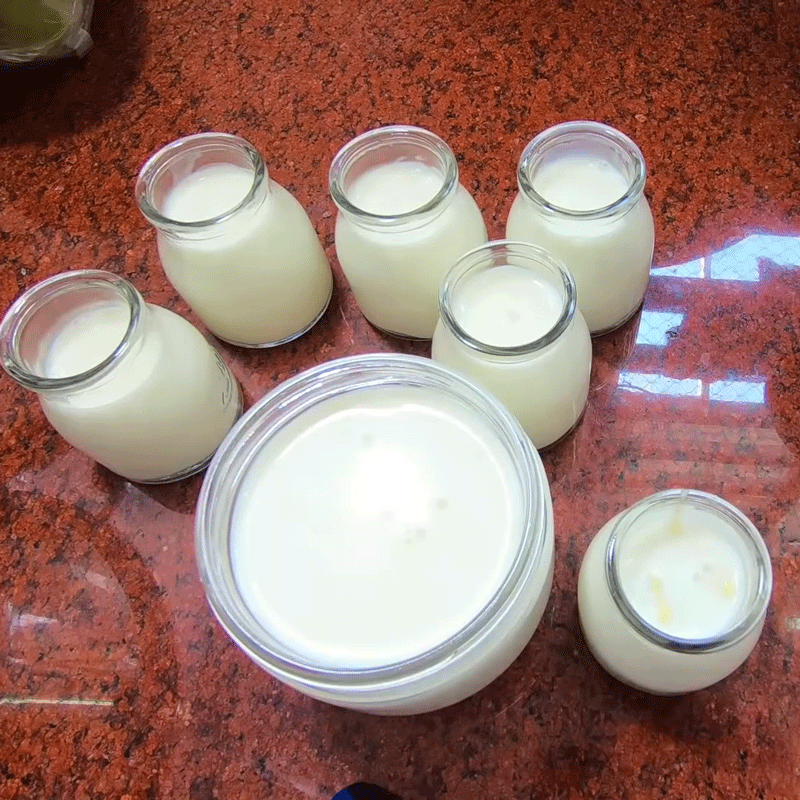 Bước 3 Cho vào hũ đựng Sữa chua sầu riêng
