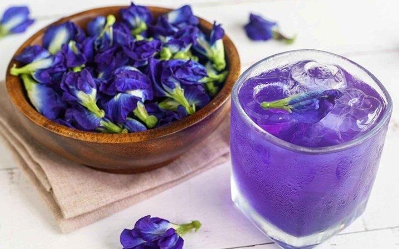 Cách sử dụng hoa đậu biếc tươi