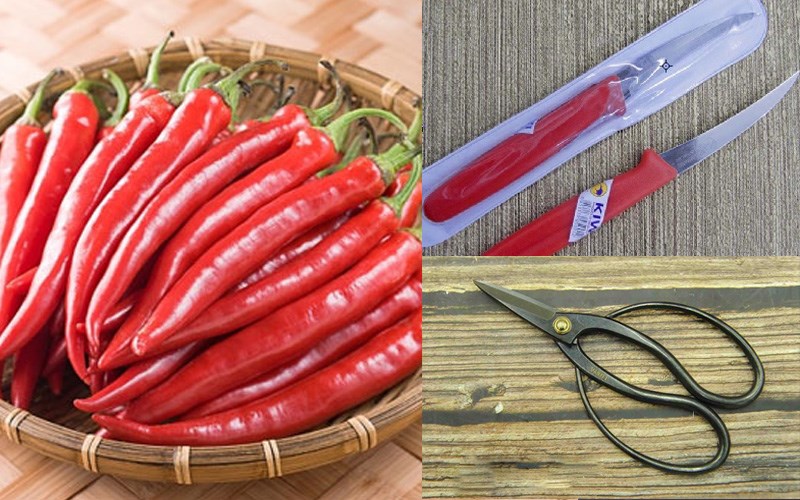 Nguy&ecirc;n liệu v&agrave; dụng cụ tỉa hoa hồng m&ocirc;n từ ớt