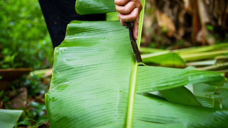 Làm sạch cá kèo bằng lá chuối