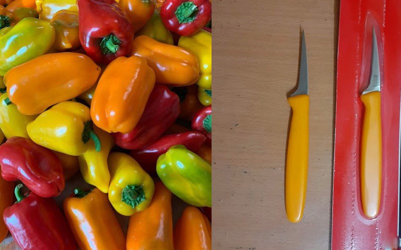 Nguy&ecirc;n liệu v&agrave; dụng cụ tỉa hoa ly từ ớt chu&ocirc;ng