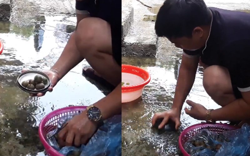 Làm sạch sẽ vỏ sấu bằng nắp nồi