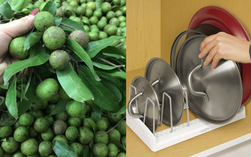 Nguyện liệu và hiện tượng gọt vỏ sấu