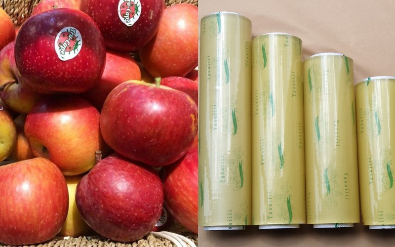 Sử dụng màng bọc thực phẩm để bọc táo
