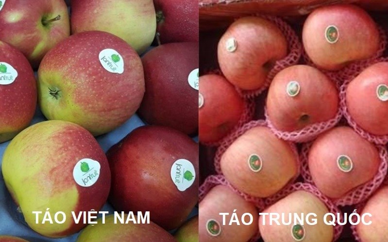 Táo Việt Nam và táo Trung Quốc