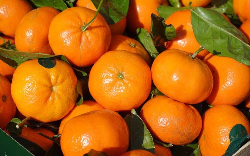Cách chọn cam ngon mọng nước, cách bảo quản cam tươi lâu đúng cách