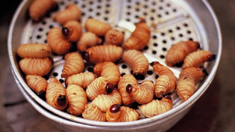 Đuông Chà Là
