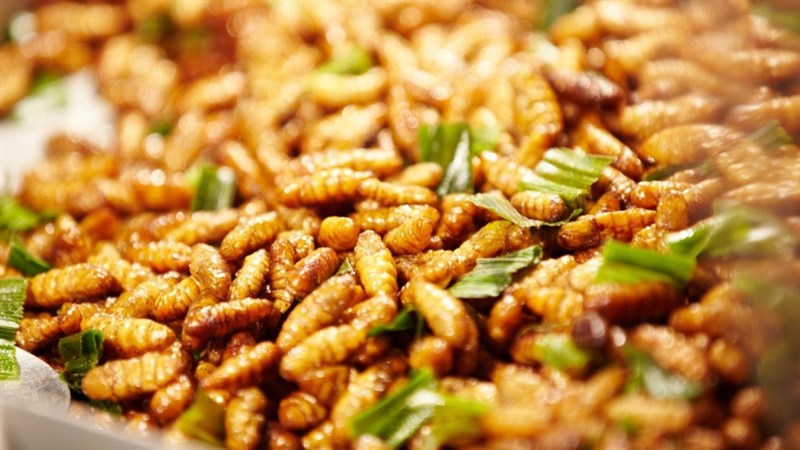 Gỏi nhộng ong rừng U Minh