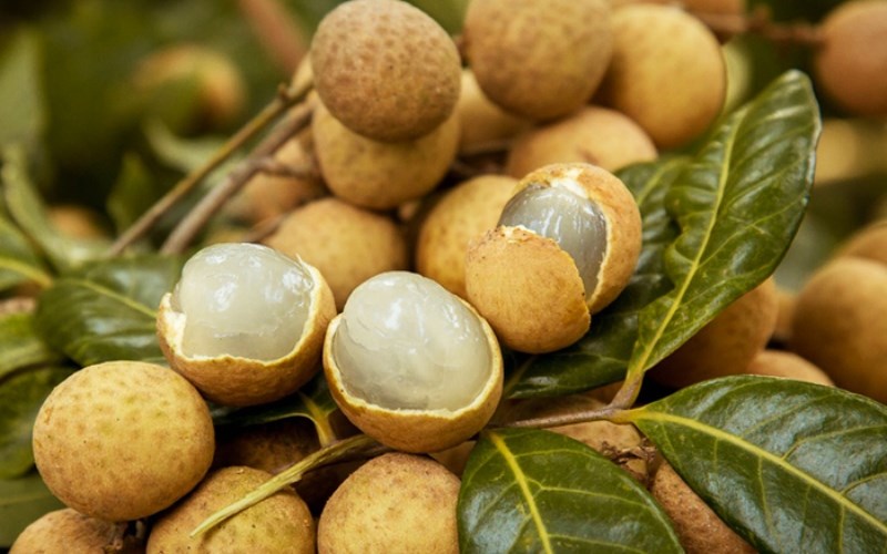 Nhãn da bò Bạc Liêu