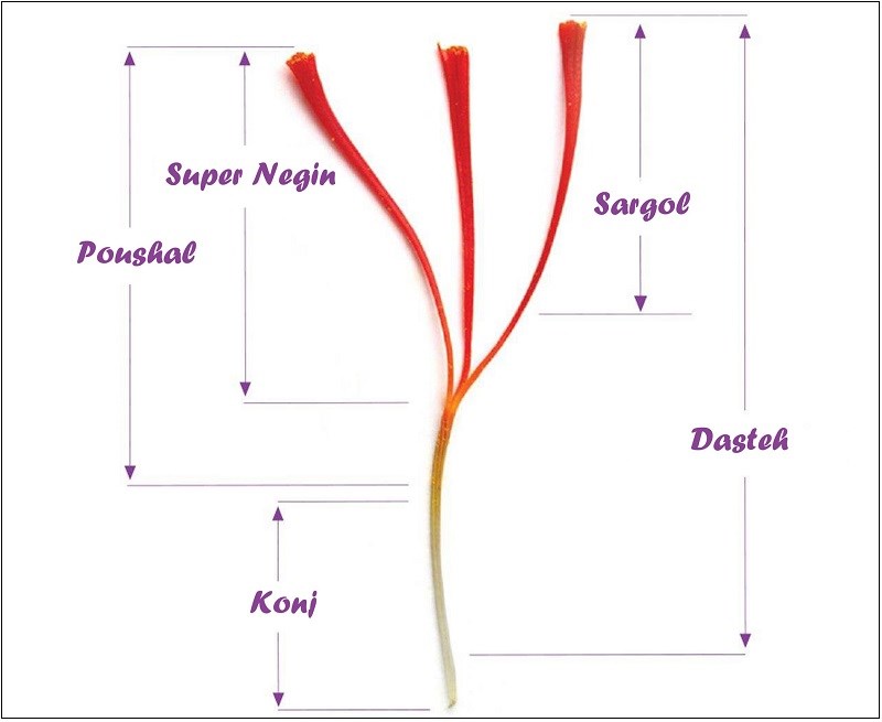 Phân loại các saffron hiện nay