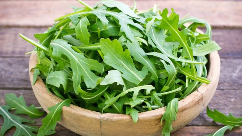 Xà lách rocket - xà lách arugula
