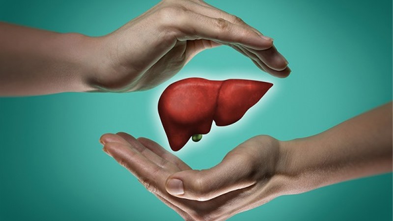 Lá bồ công anh giúp cải thiện sức khoẻ gan