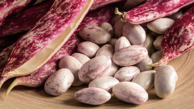 Đậu cranberry